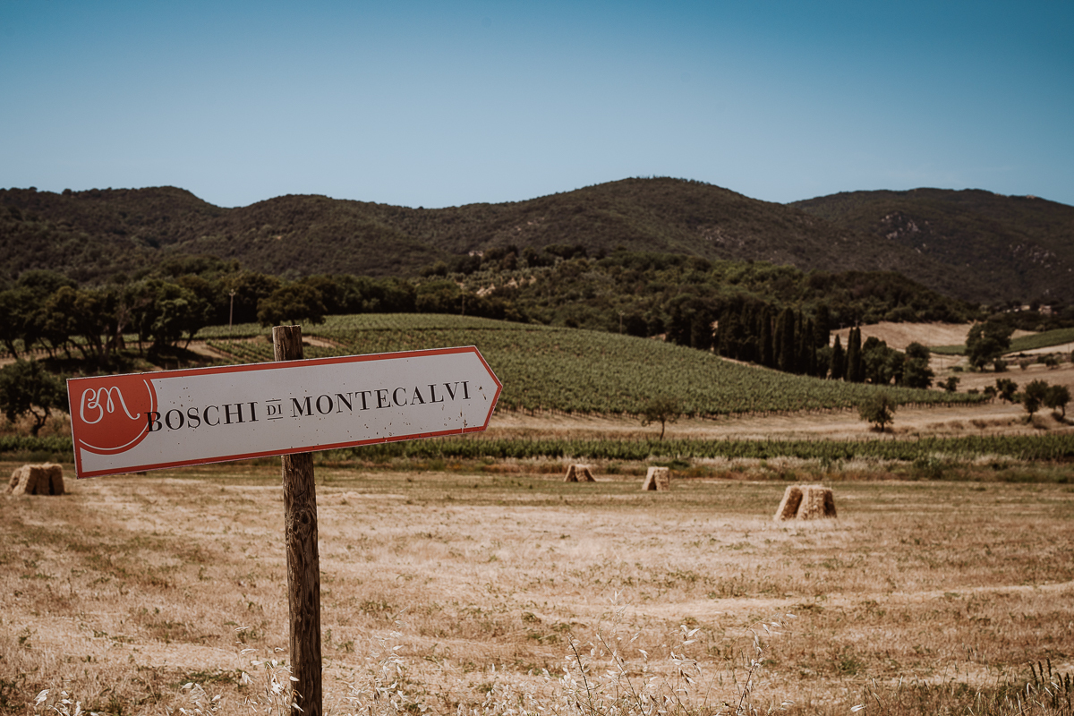 destination wedding,boschi di montecalvi, wedding tuscany